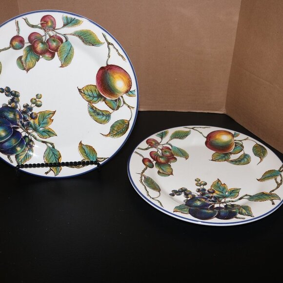 Pier 1 MacIntosh dinner plates 10 inches across lot of 2 beautiful condition